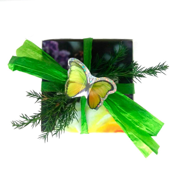 Bath Bomb Gift Bundle - The Farmacy